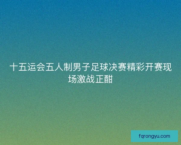 十五运会五人制男子足球决赛精彩开赛现场激战正酣